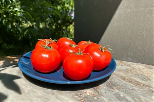 Home grown vegetables  - 